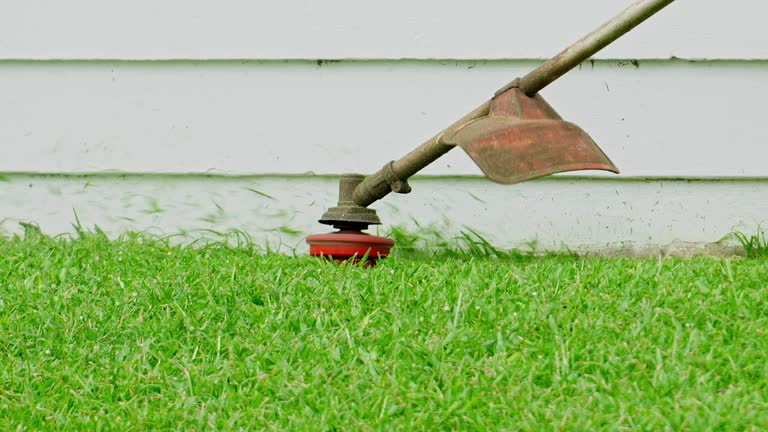 Lawn Drainage Solutions in Tustin, CA